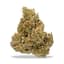 Terpee Slerpee Buds 3.50 Gram