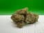 Putang Buds 1 Gram