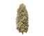 Cactus Breath Buds 7 Gram