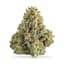 Dip N Stix Buds 28 Gram