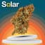 Super Silver Haze Buds 3.50 Gram