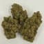Golden Goat Buds 7 Gram