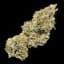 Bergamot Buds 14 Gram