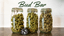 Blueberry Breath Buds 3.50 Gram
