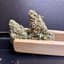 White Iverson Buds 3.50 Gram