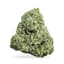 Crescendo Buds 28 Gram
