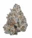 Frosted Truffle Pie Buds 3.50 Gram
