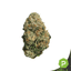 Project Z Buds 3.50 Gram