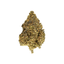 Blueberry Muffinz Buds 14 Gram