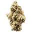 Slurricane Buds 7 Gram