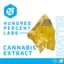 Rainbow Zelato Shatter 2 Gram