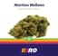 Martian Mellows Buds 14 Gram