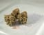 Triangle Buds 14 Gram