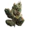 Sugar Cookies Buds 28 Gram