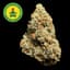 Motorbreath Buds 3.50 Gram