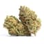 Super Skunk Buds 3.50 Gram