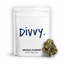 Rainbow Sherbert 11 Buds 3.50 Gram
