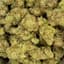 Citrix Buds 28 Gram