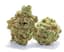 Secret Stash Buds 14 Gram