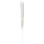 Blueberry Muffin 2 Pack Infused Pre Rolls 1 Gram