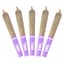 Blackberry 5 Pack Infused Pre Rolls 2.50 Gram