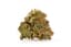 Trailblazer Buds 14 Gram
