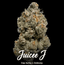 Juicee J Buds 14 Gram