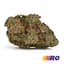 Cherry Punch Buds 28 Gram
