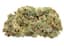 Trailblazer Buds 14 Gram