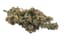 Apples & Bananas Buds 3.50 Gram
