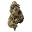 Sticky Buns Buds 7 Gram