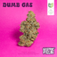 Dumb Gas Buds 14 Gram