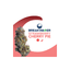 Strawberry Cherry Pie Buds 7 Gram