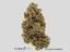 Michigan Cherries Buds 3.50 Gram
