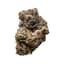 Jack Herer Buds 14 Gram