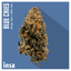 Blue Cookie Buds 3.50 Gram