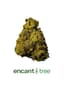 Wookies Buds 28 Gram