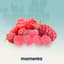 Raspberry Gummies 20 Mg