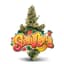 Strawnana Buds 3.50 Gram