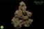 Wedding Pie Buds 3.50 Gram