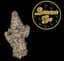 Banana Gas Buds 3.50 Gram