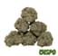 Lemon Headz Buds 28 Gram