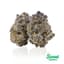 Gg #4 Buds 28 Gram