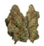 Orange Buds 7 Gram