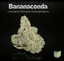 Bananaconda Buds 14 Gram