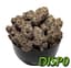 Bubblegum Marker Buds 3.50 Gram
