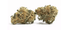 Bubble Bath Buds 14 Gram