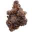 Gastro Pop Buds 1 Gram