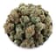 Acapulco Gold Buds 28 Gram