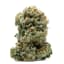 Durban Glue Buds 14 Gram